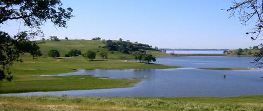 The lake and grassland of the preserve in spring