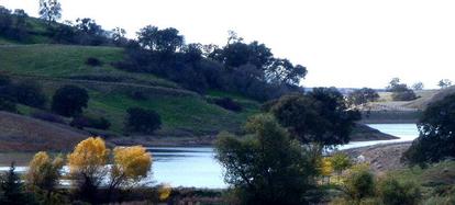 Autumn colour along the water