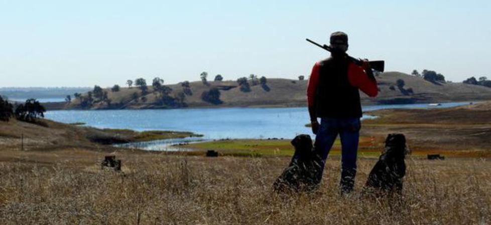 A hunter and two labradors above the lake at Camanche Hills